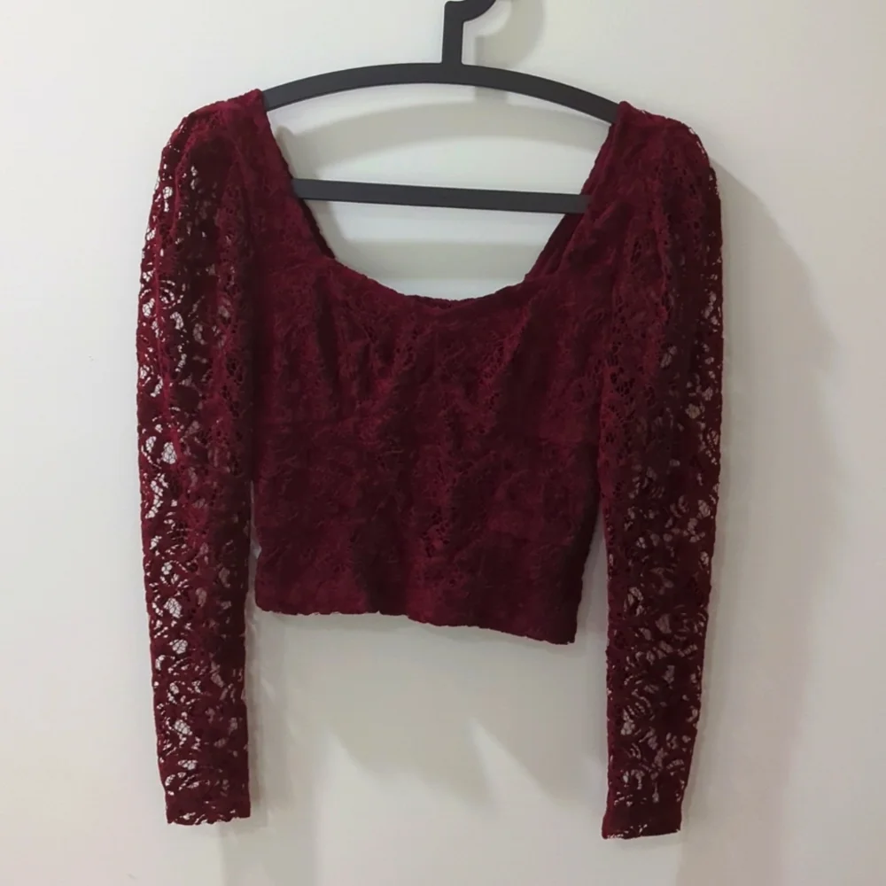 Anthropologie Burgundy Lace Velvet Long Sleeve Blouse Top
